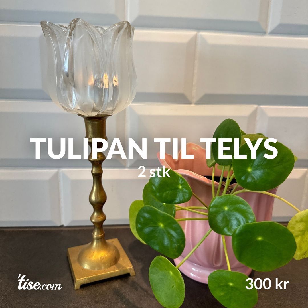 Tulipan til telys