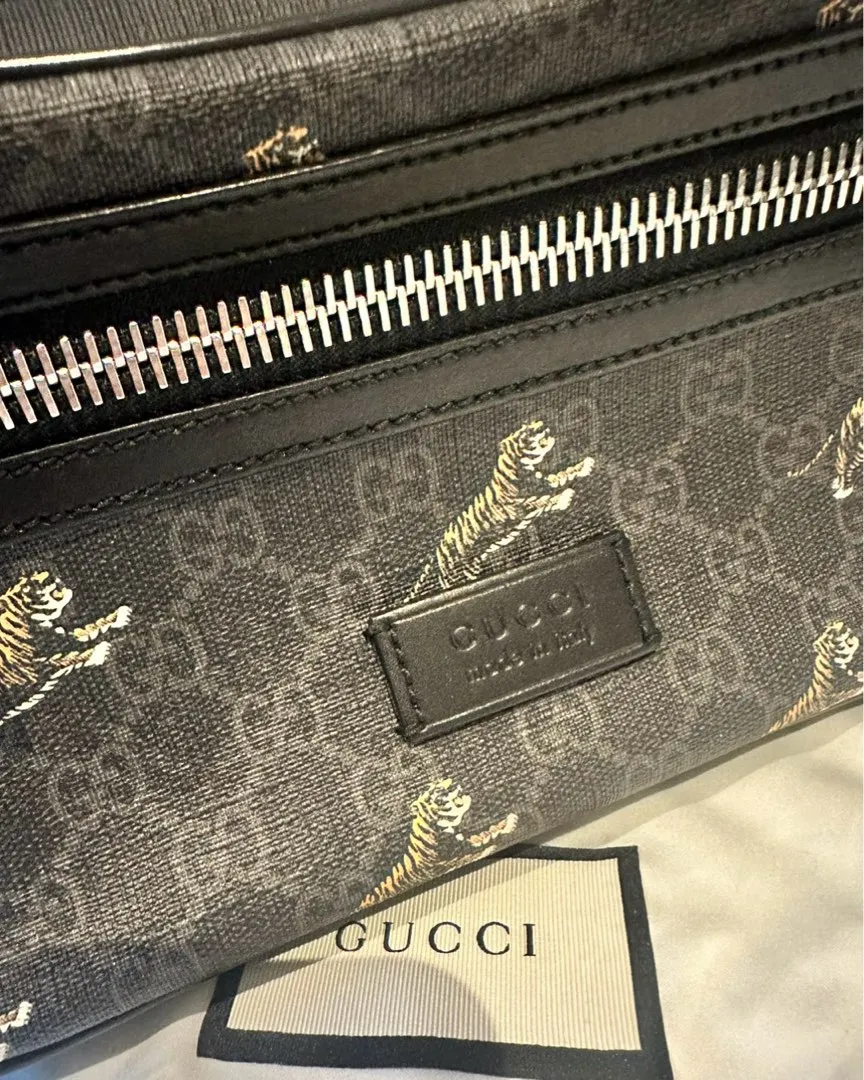 Gucci bumbag