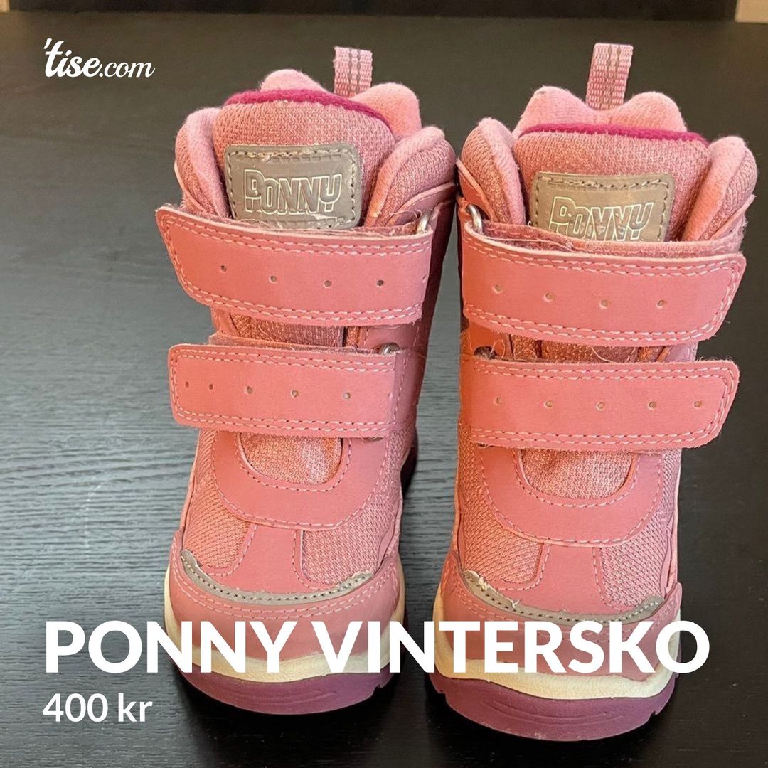 Ponny vintersko