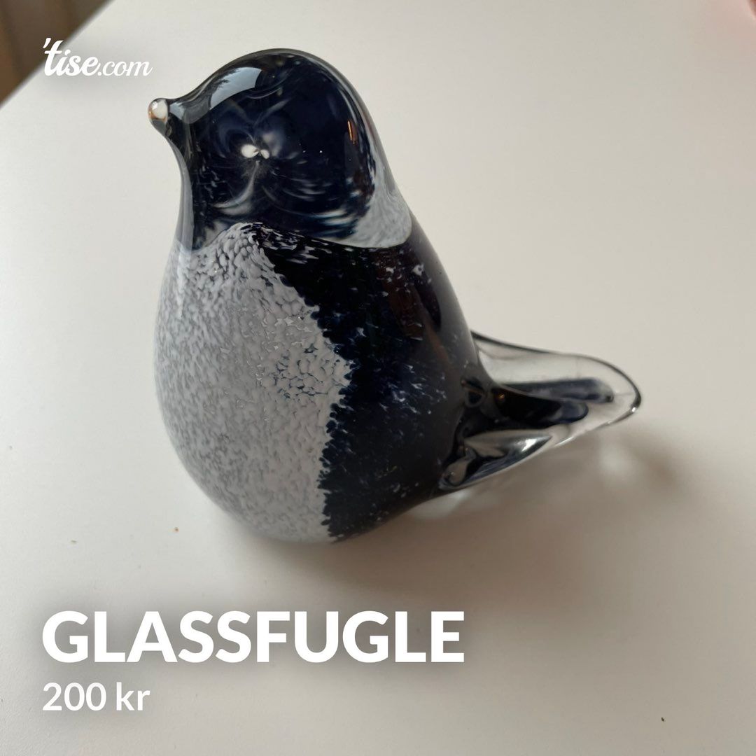 glassfugle