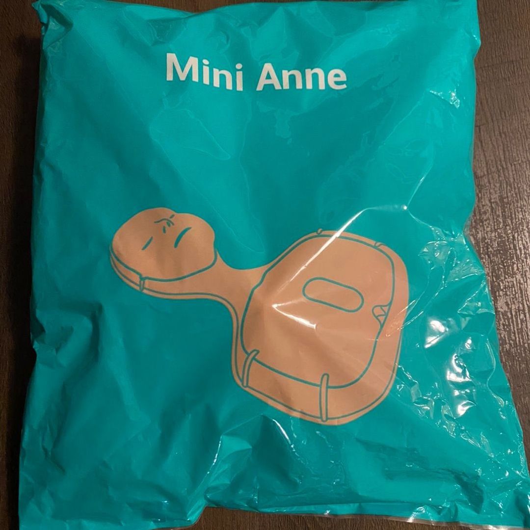 Mini-Anne