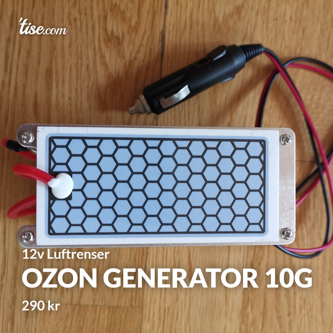 Ozon generator 10g