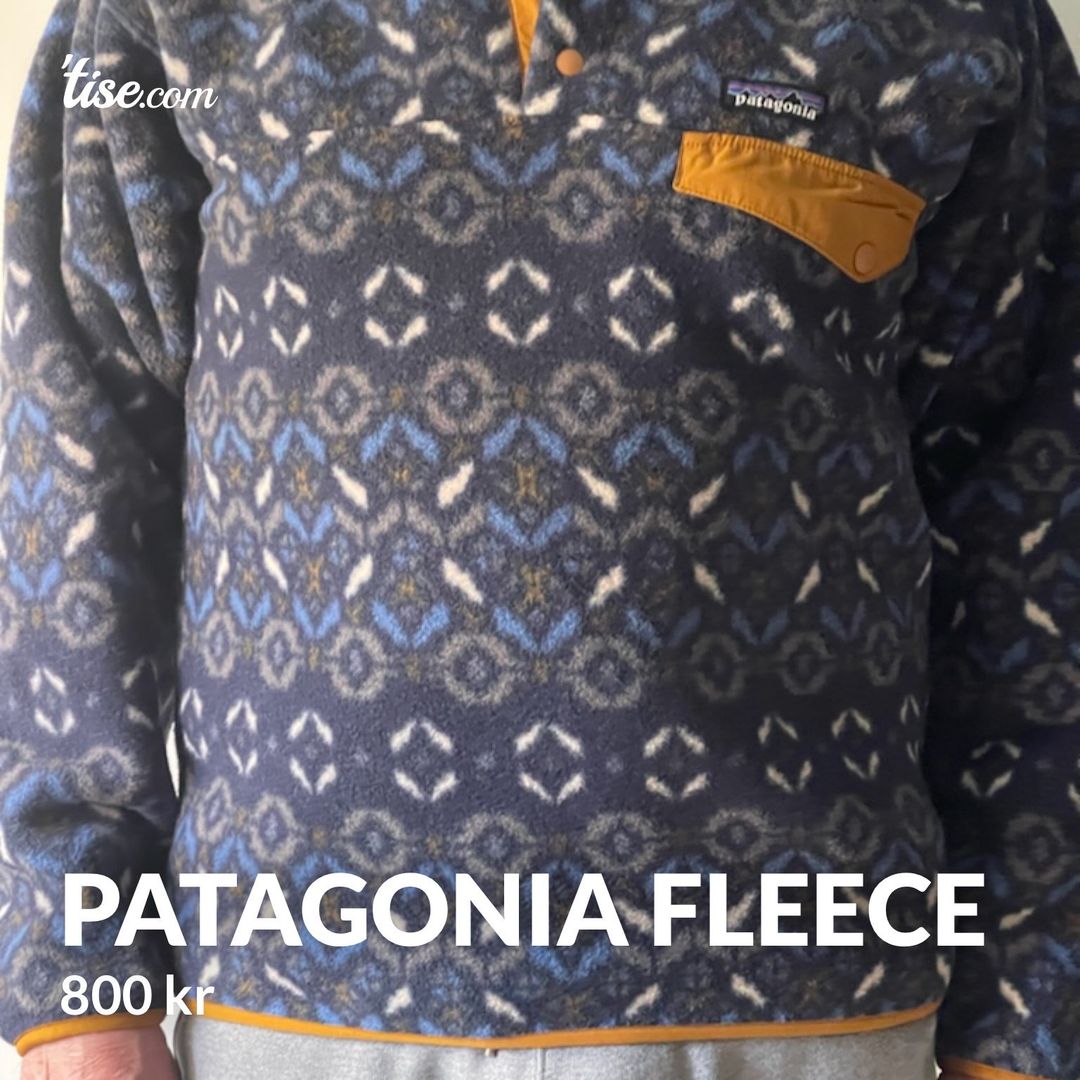 Patagonia fleece