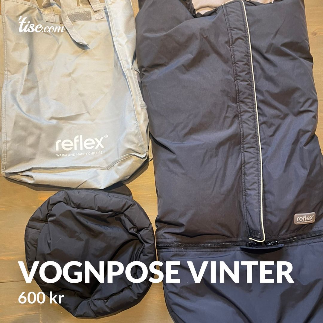 Vognpose vinter