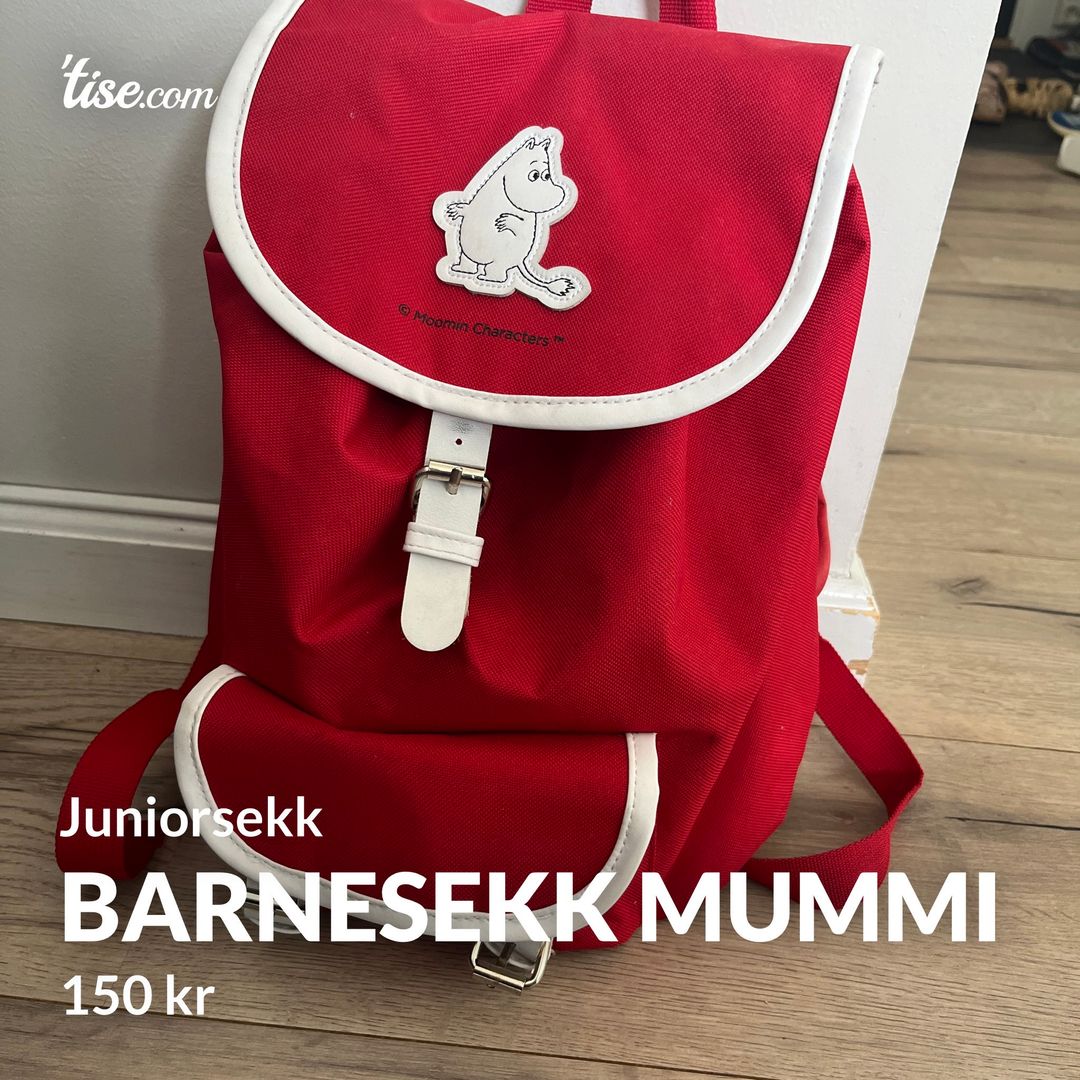 Barnesekk mummi