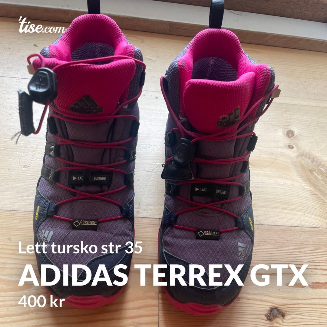 Adidas terrex gtx