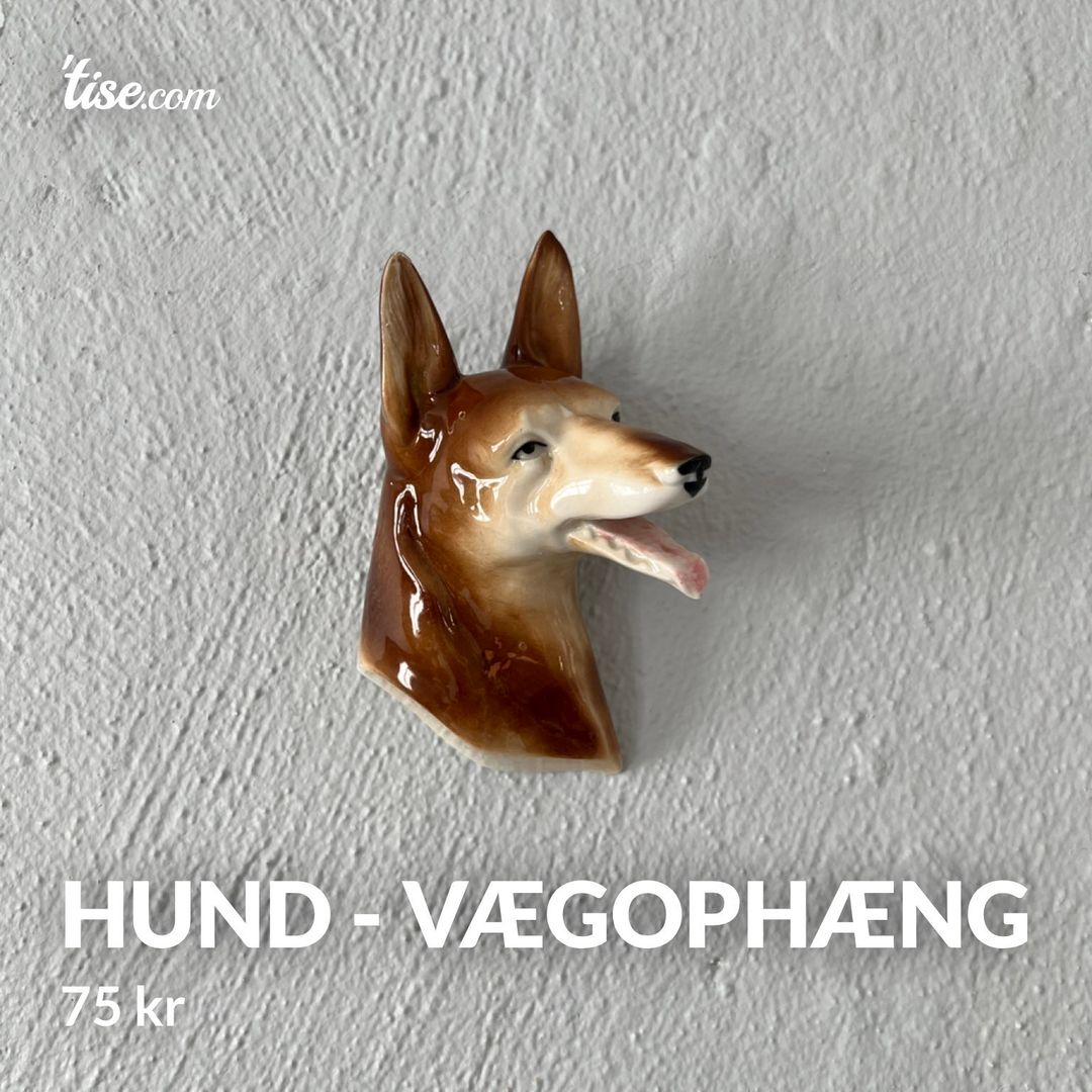 Hund - vægophæng