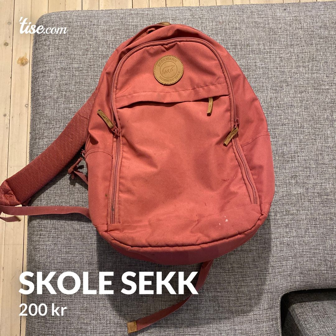 Skole sekk