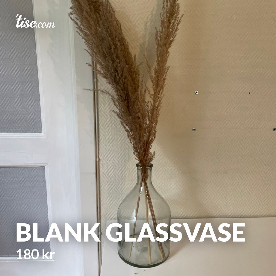 Blank glassvase