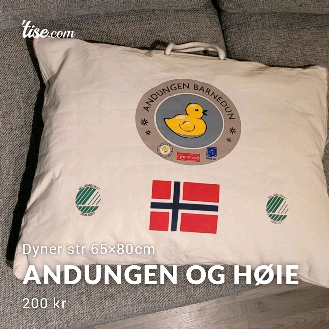 Andungen Og Høie