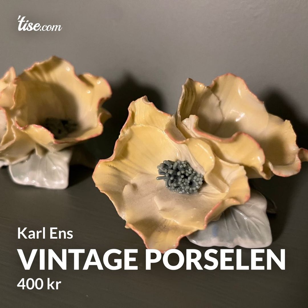 Vintage porselen