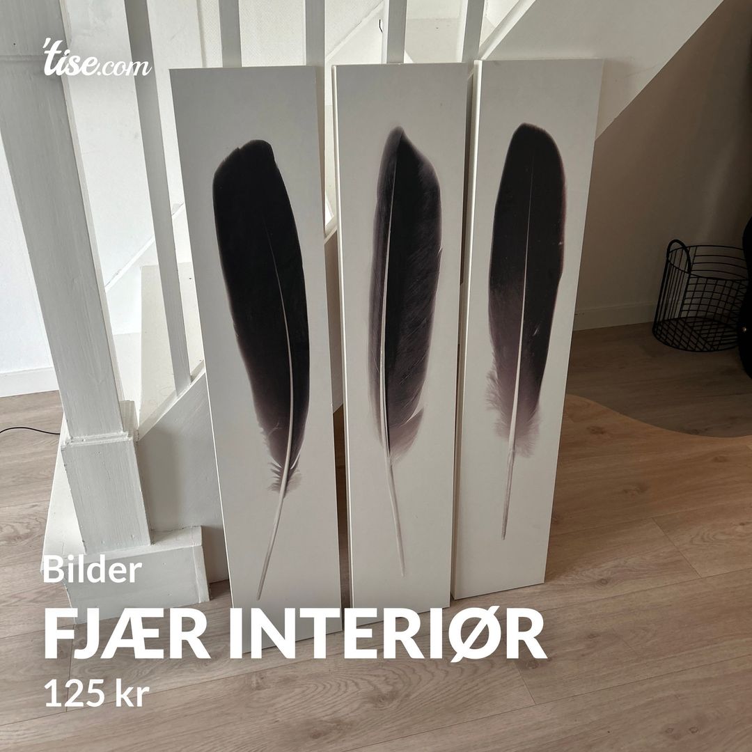 Fjær interiør