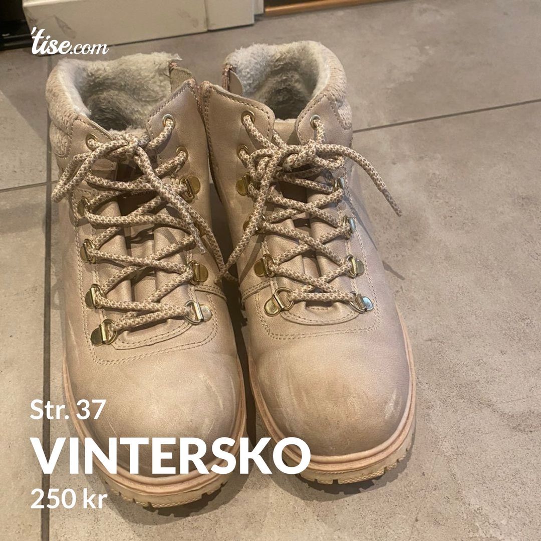 Vintersko