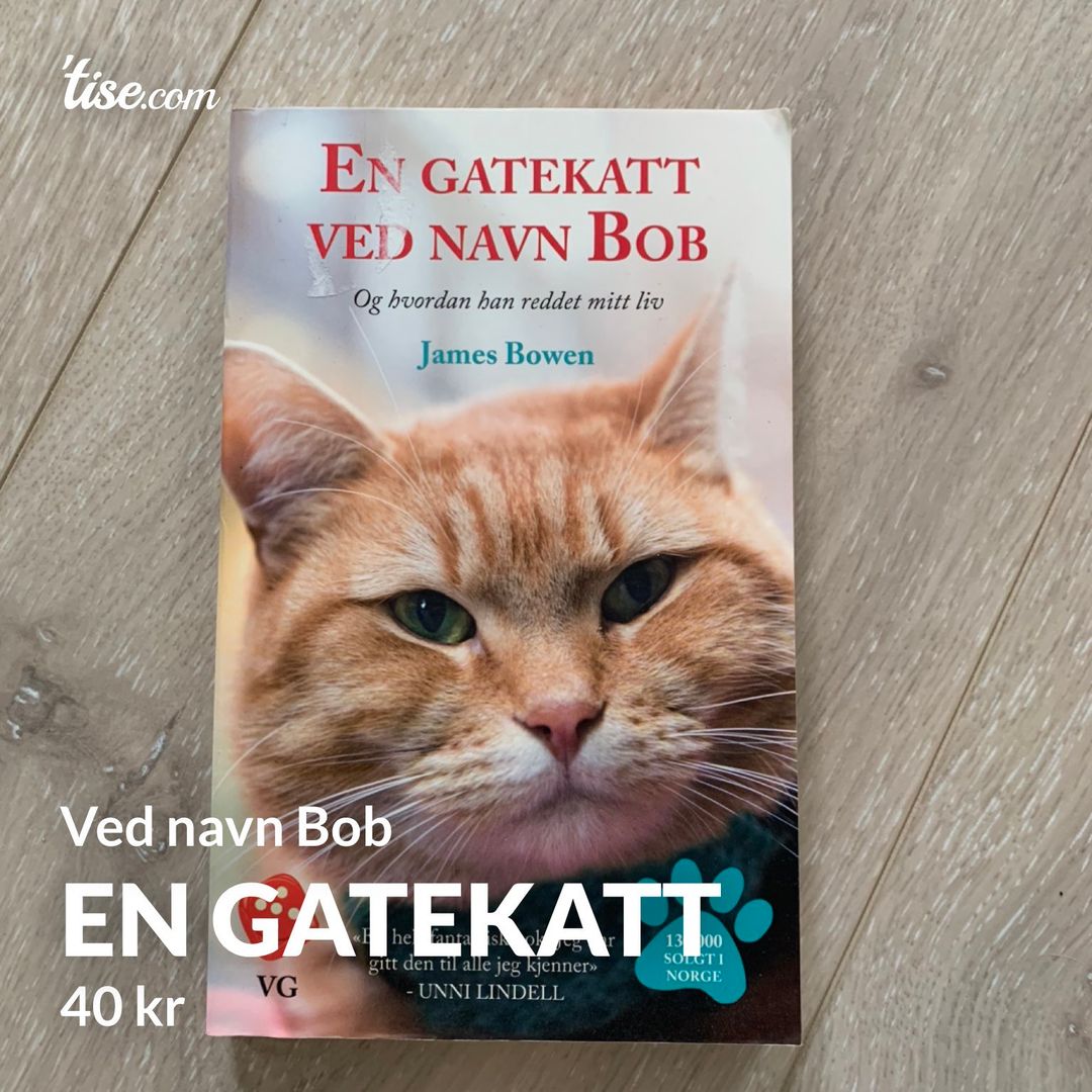 En gatekatt