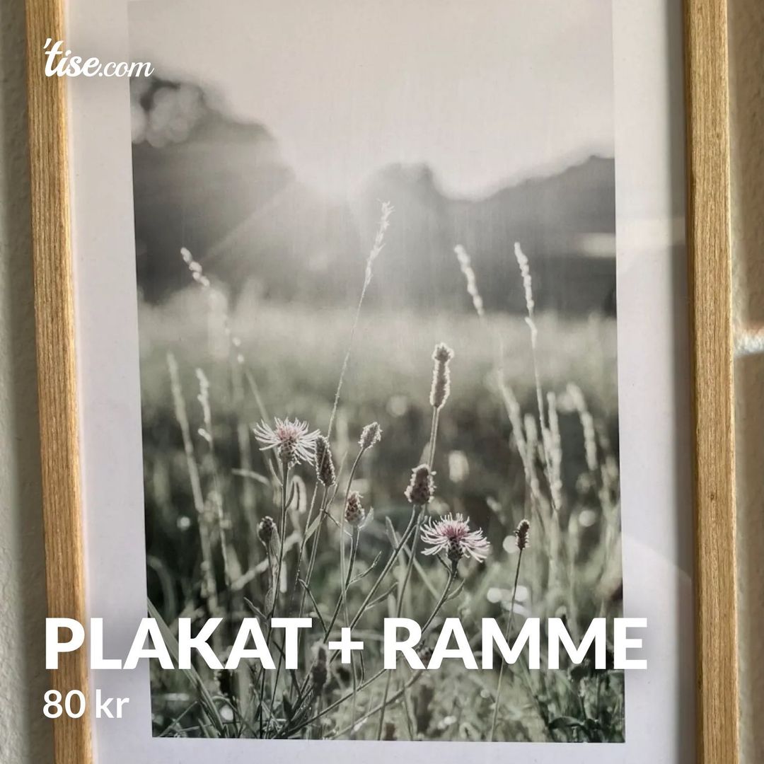 Plakat + ramme