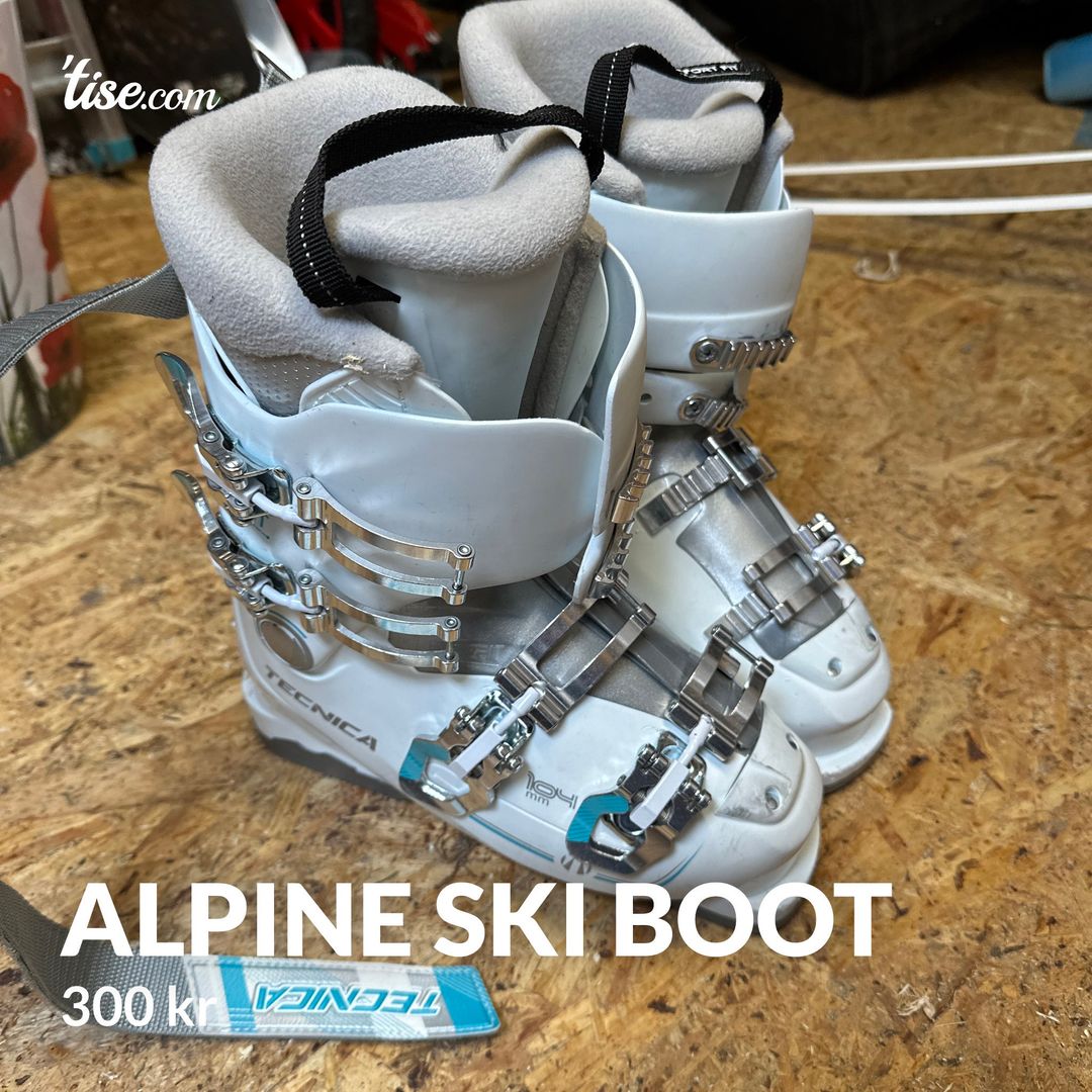 Alpine ski boot