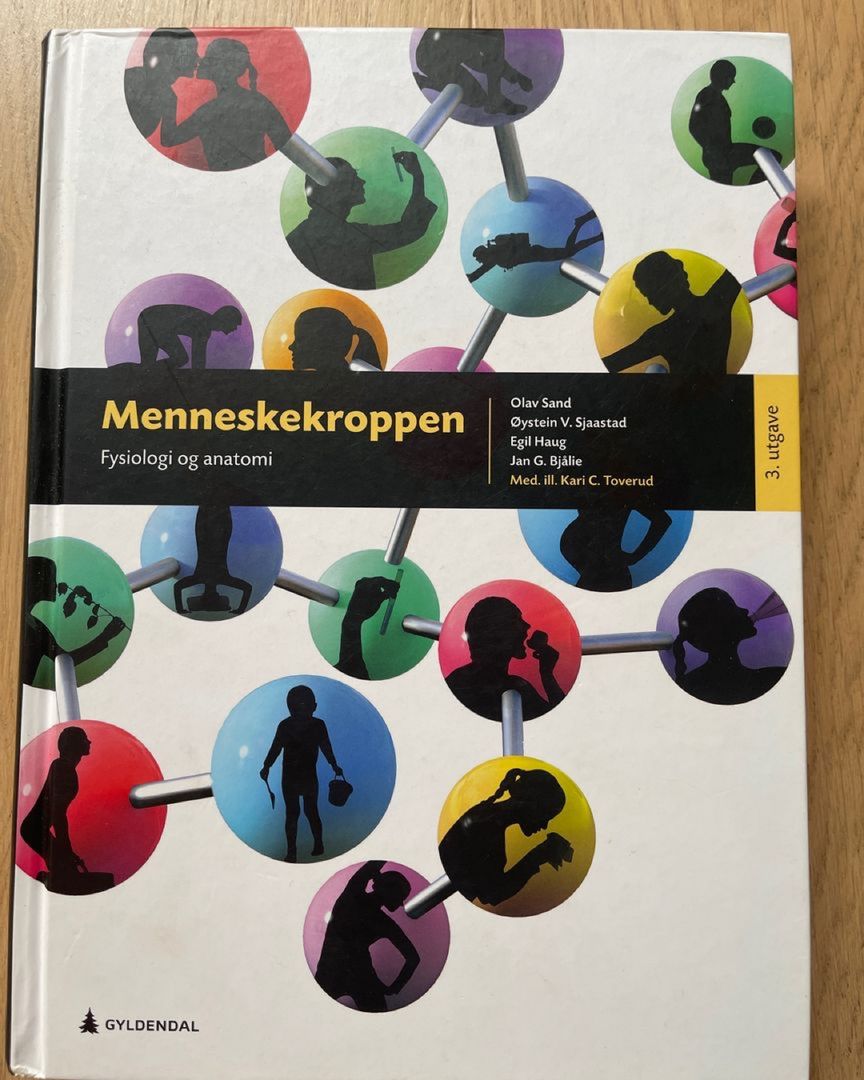 Menneskekroppen