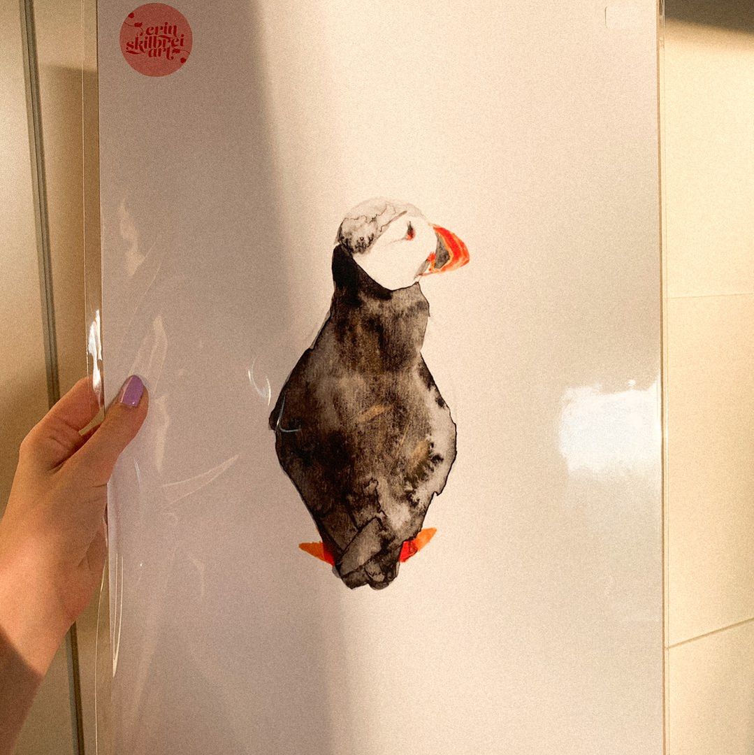 Puffin | Plakat A3