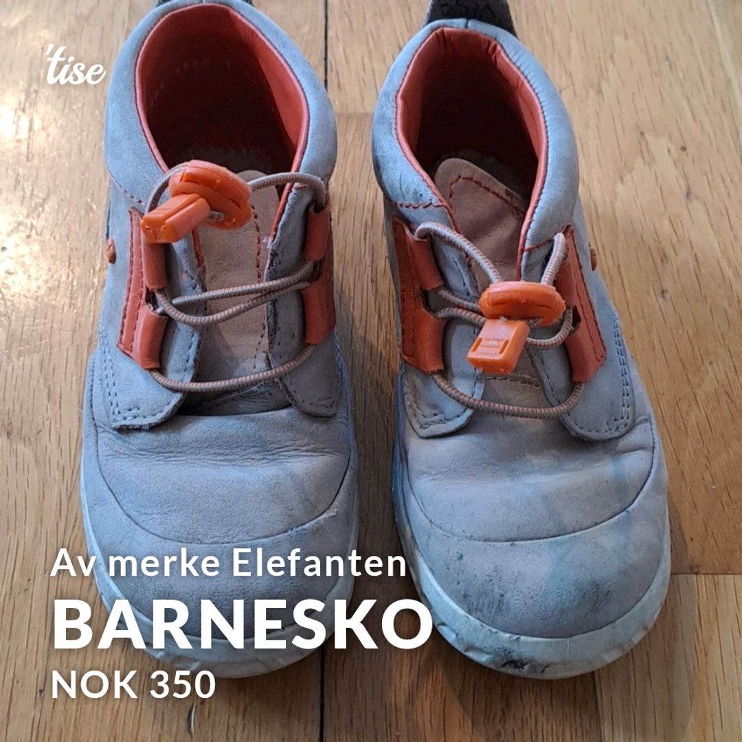 Barnesko