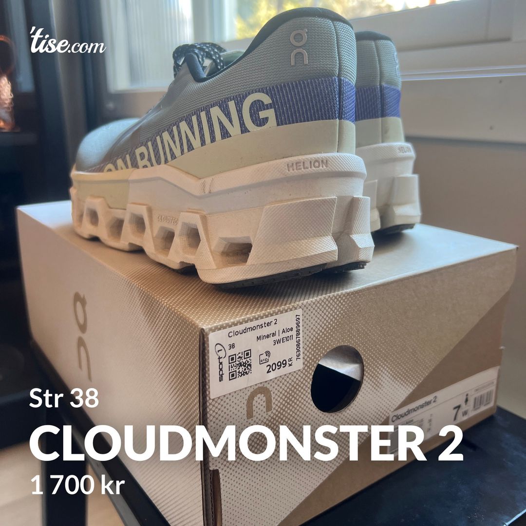 Cloudmonster 2