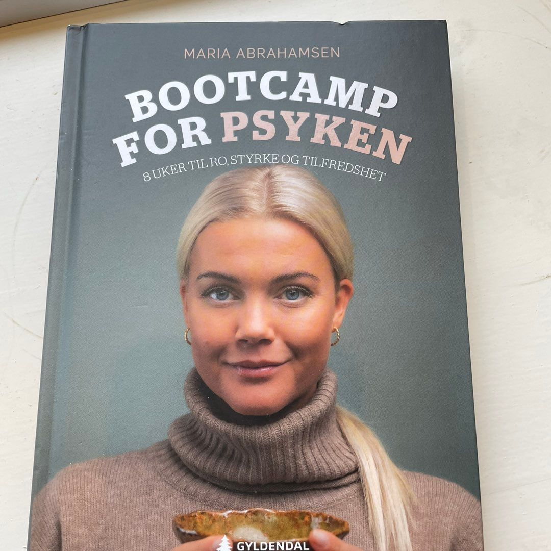 Bootcamp for psyken