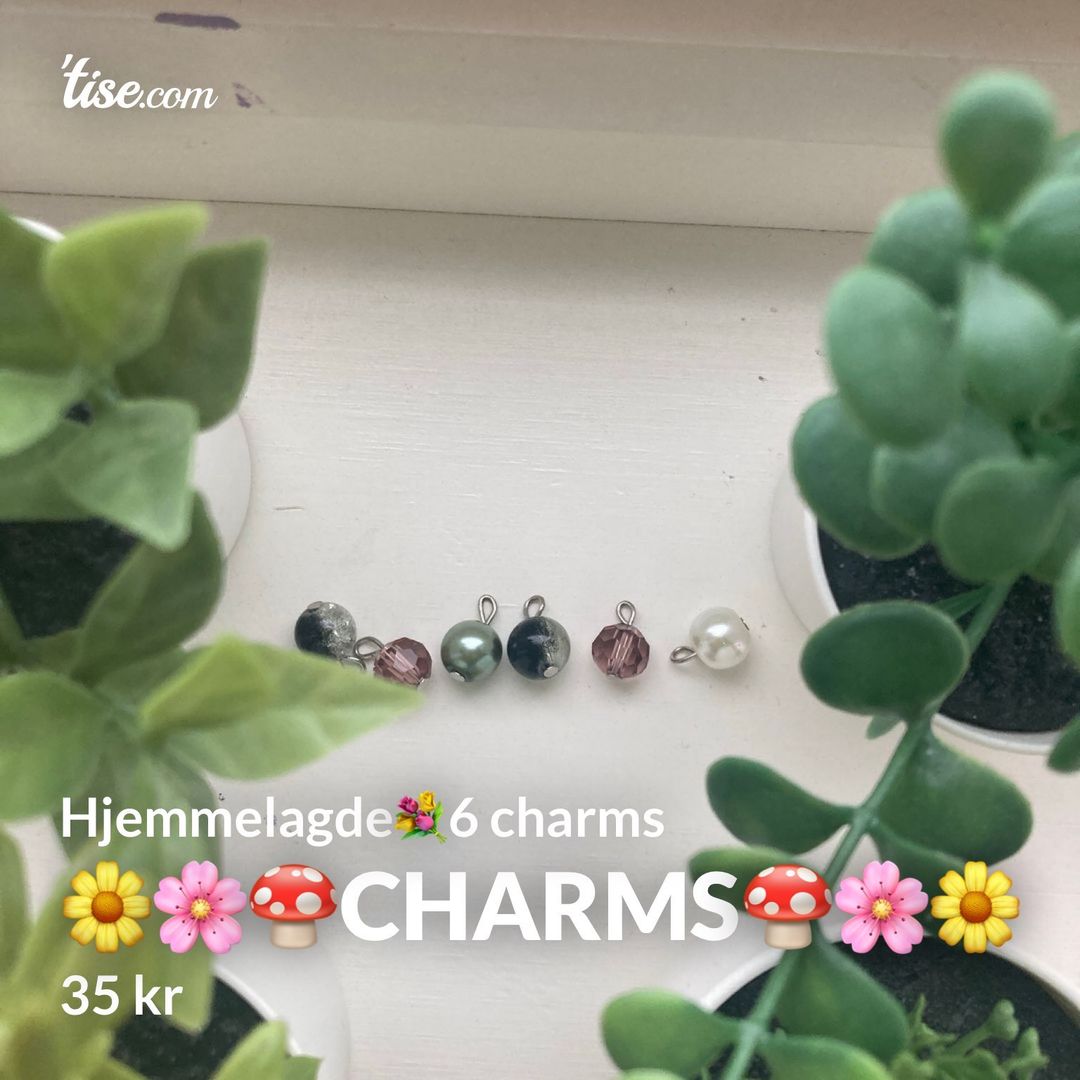 🌼🌸🍄charms🍄🌸🌼