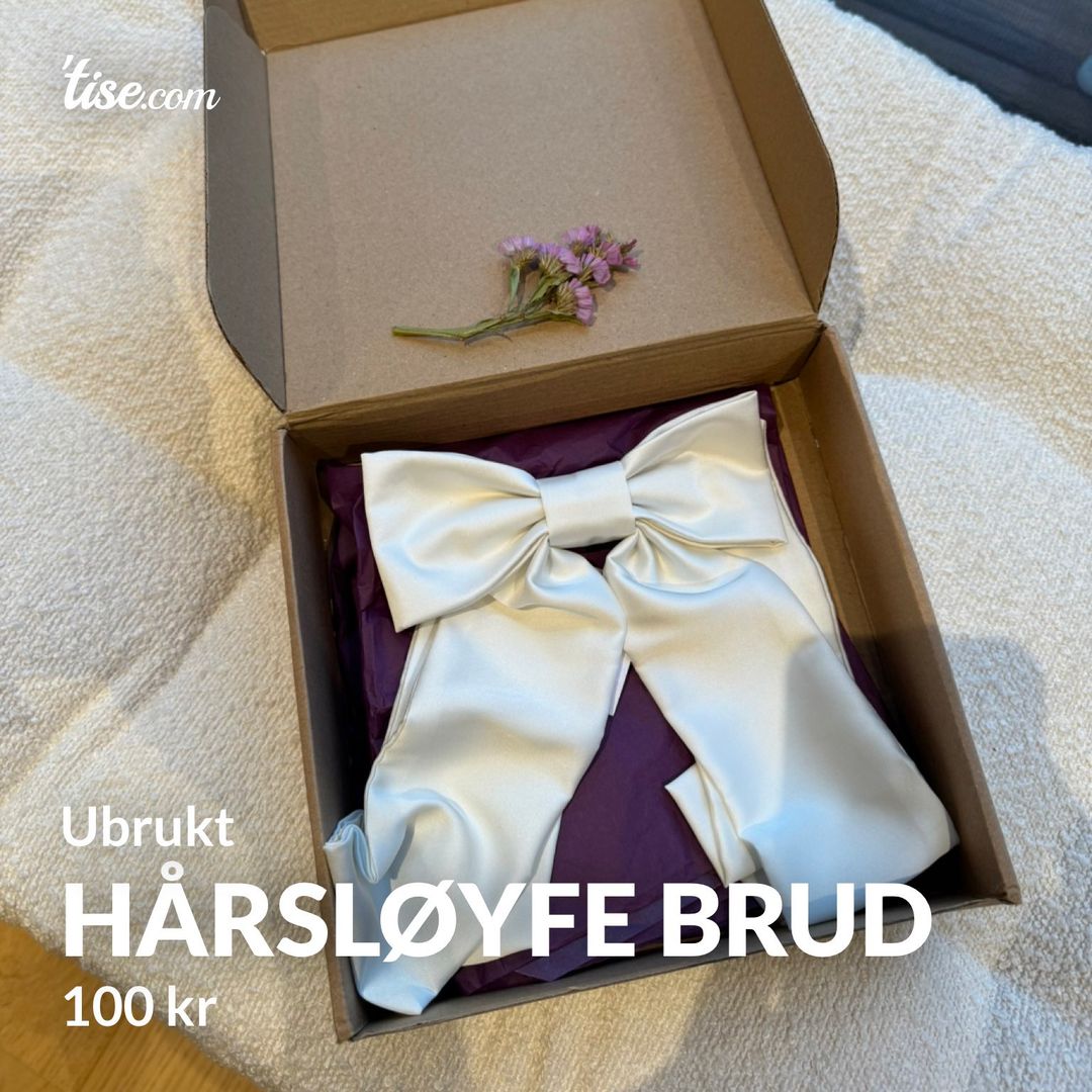 Hårsløyfe brud