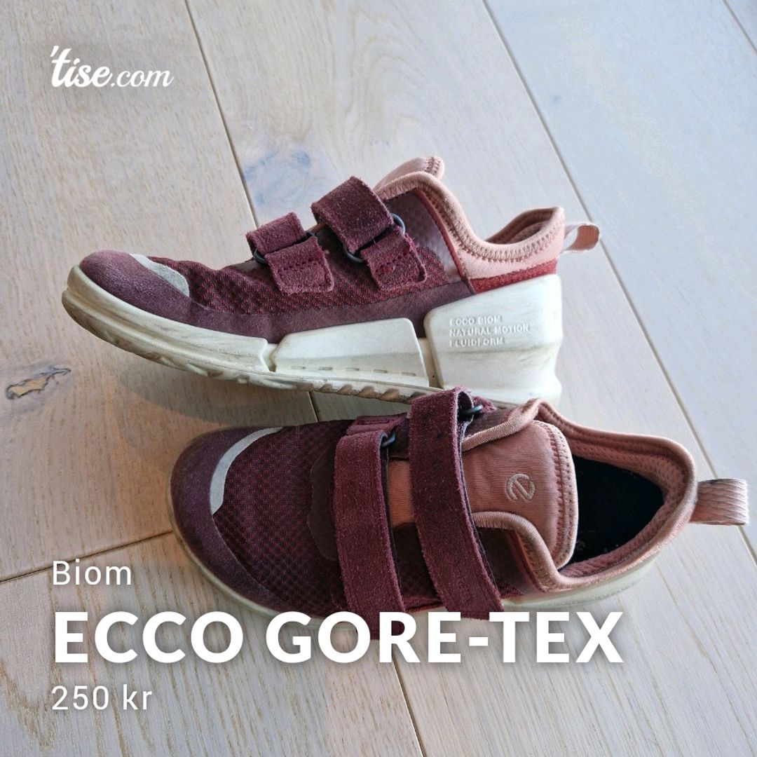 Ecco Gore-tex