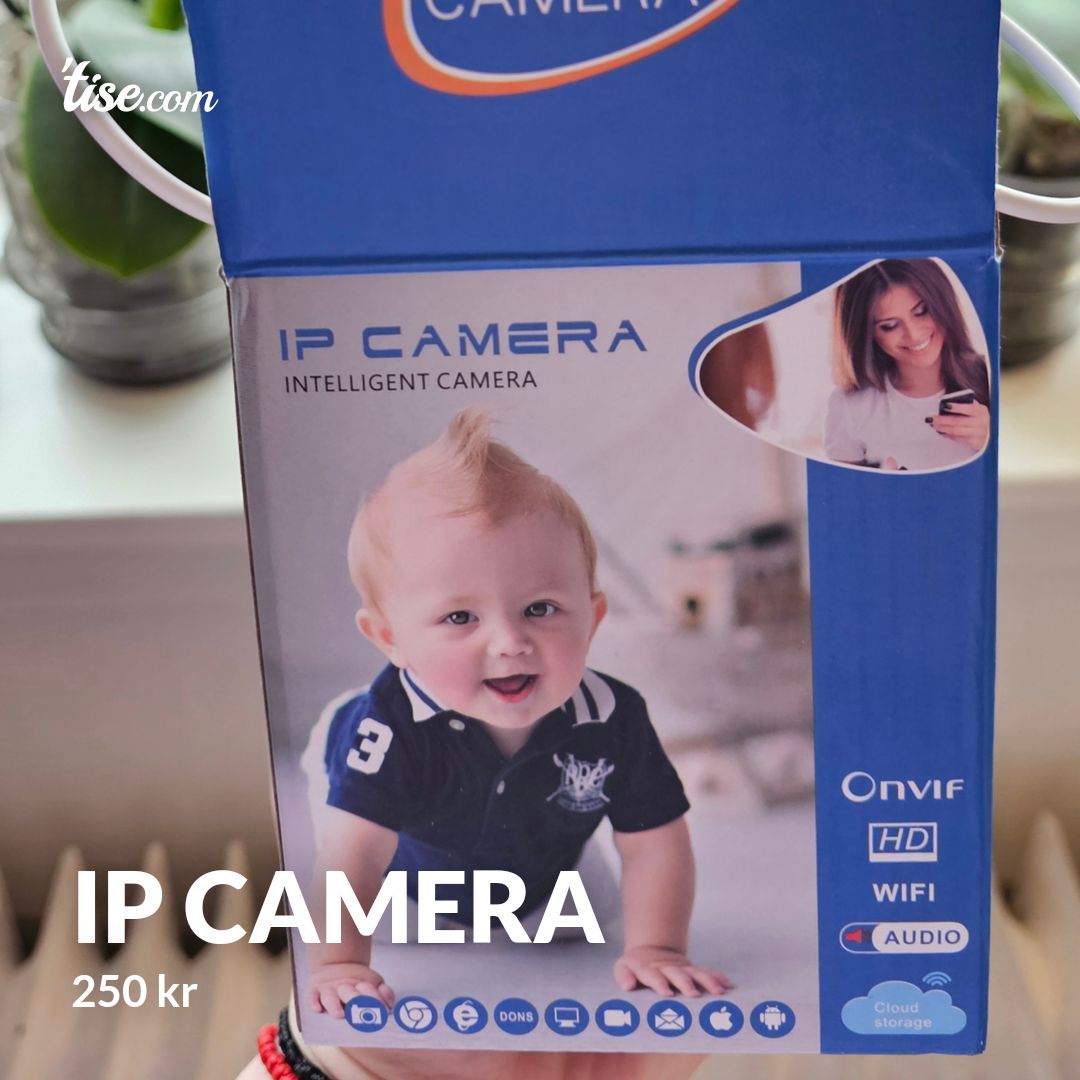 IP camera