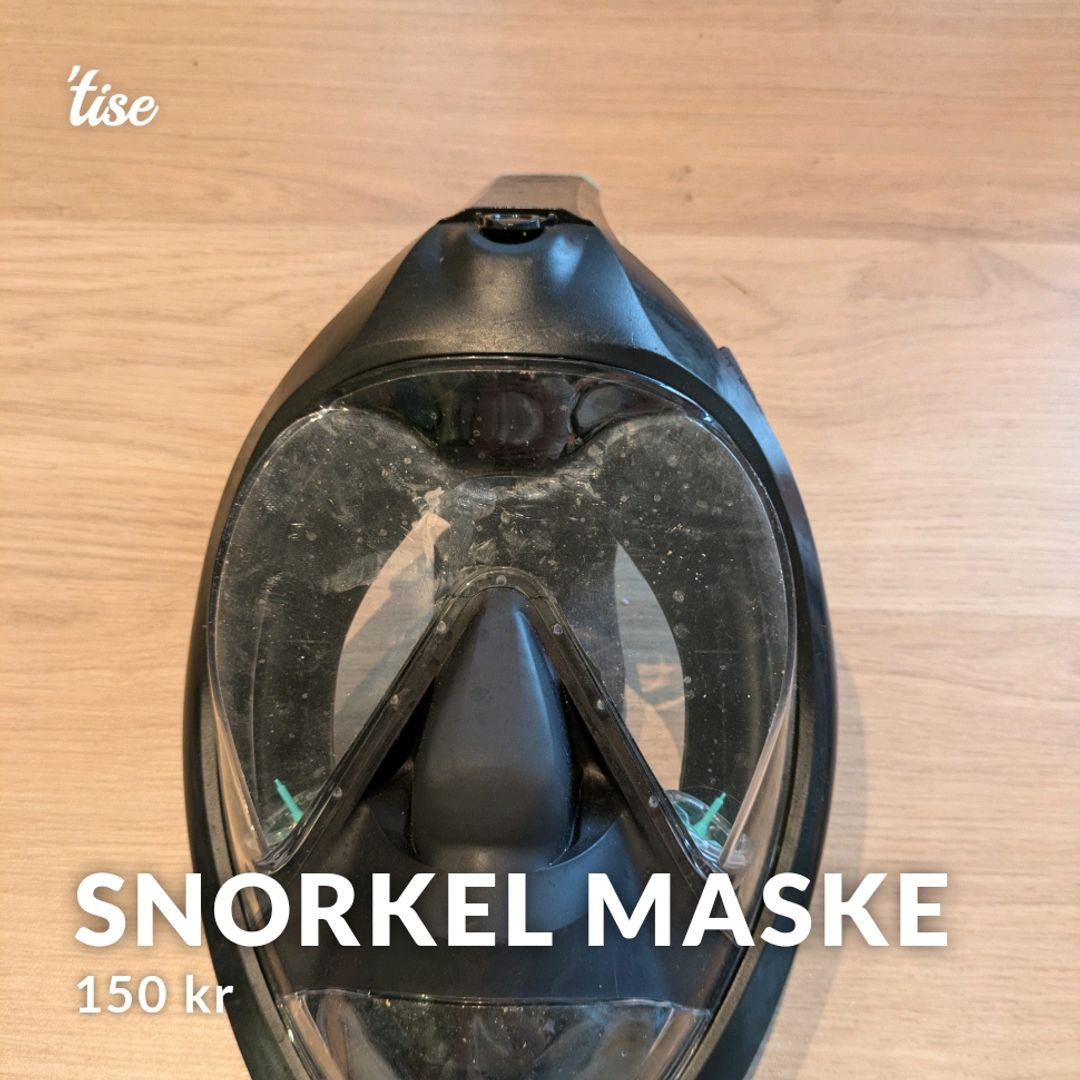 Snorkel Maske