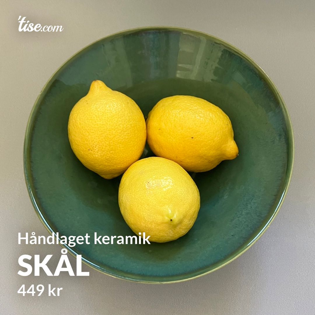 Skål