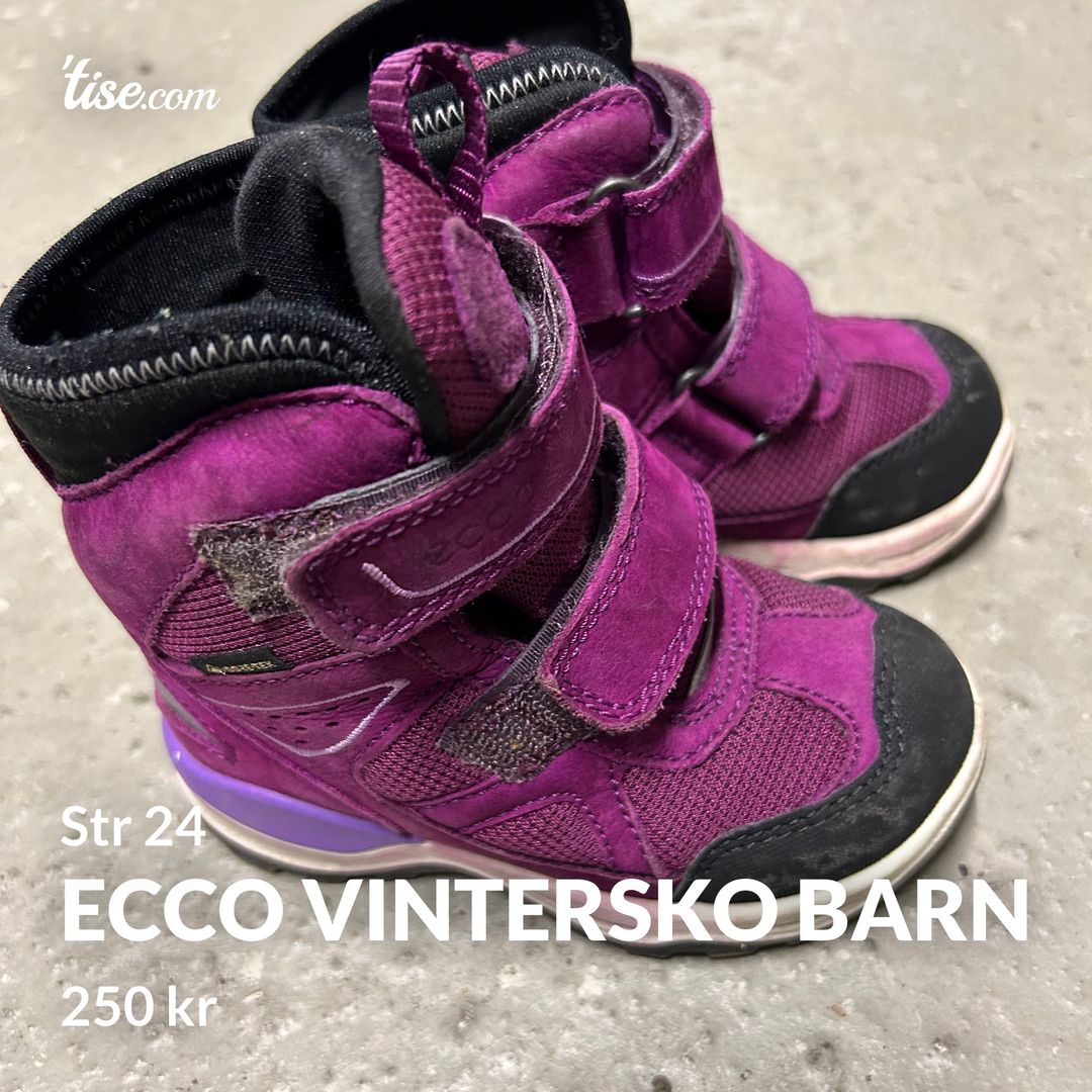 Ecco vintersko barn