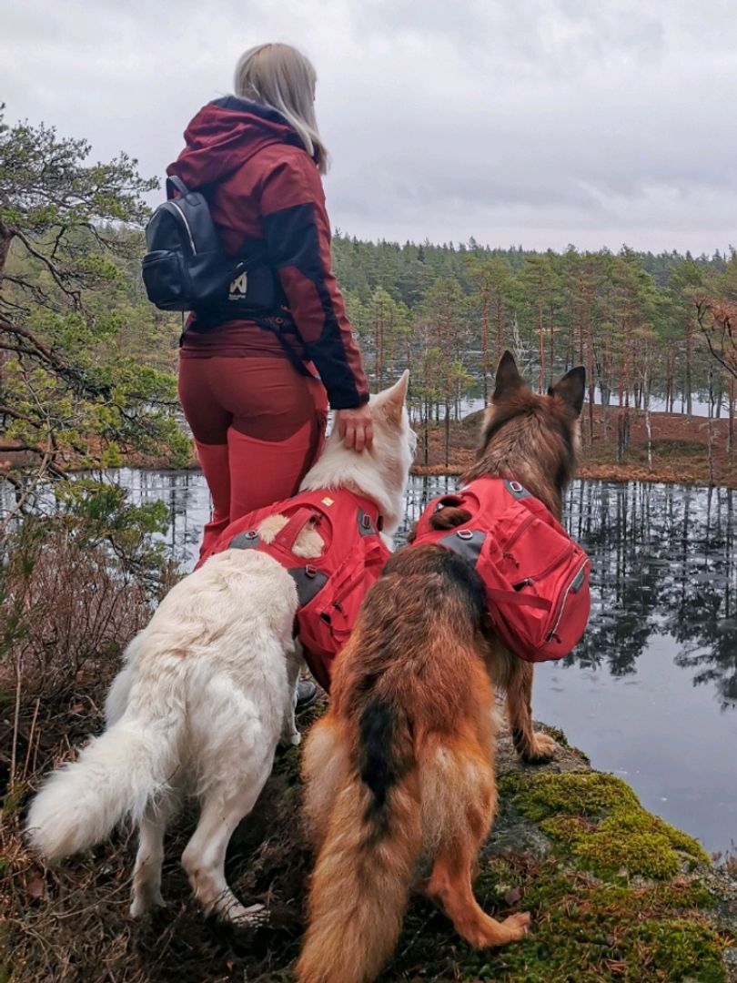 Ruffwear Kløv