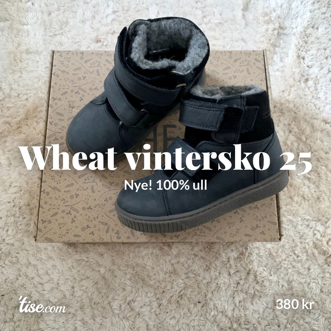 Wheat vintersko 25