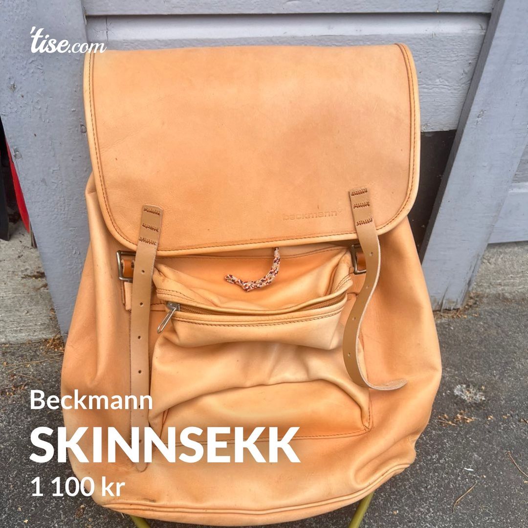 Skinnsekk