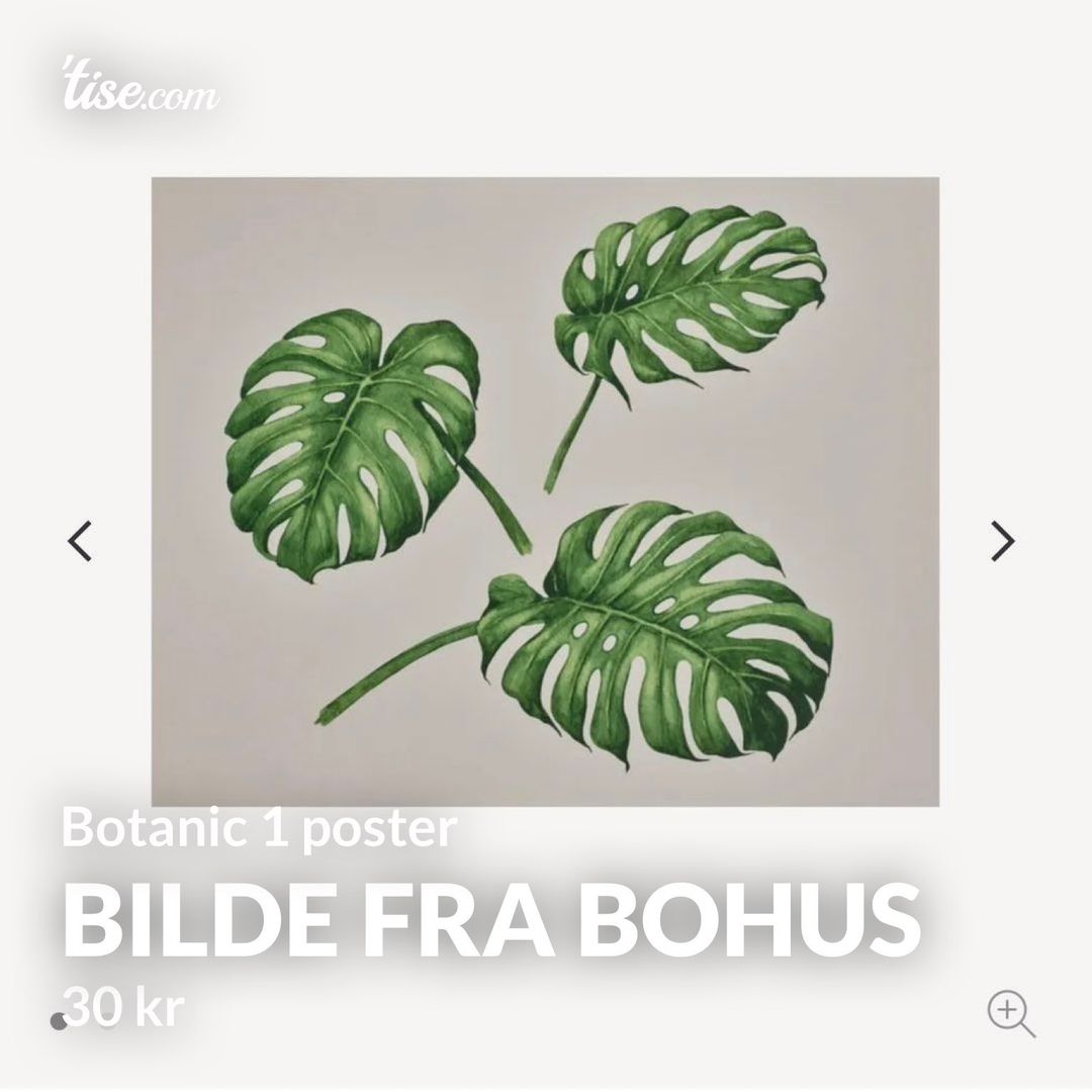 Bilde fra Bohus