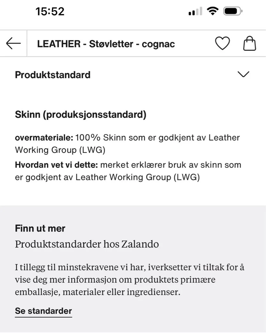 Støvletter