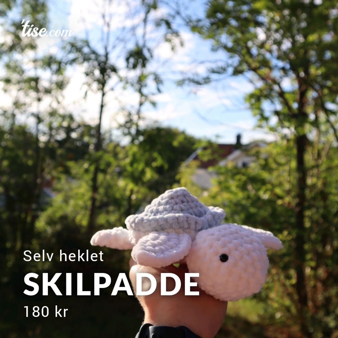 Skilpadde