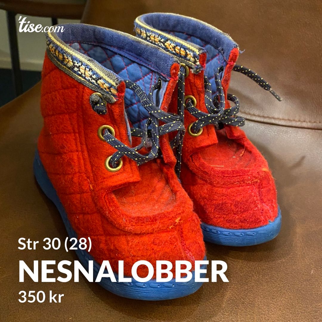 Nesnalobber