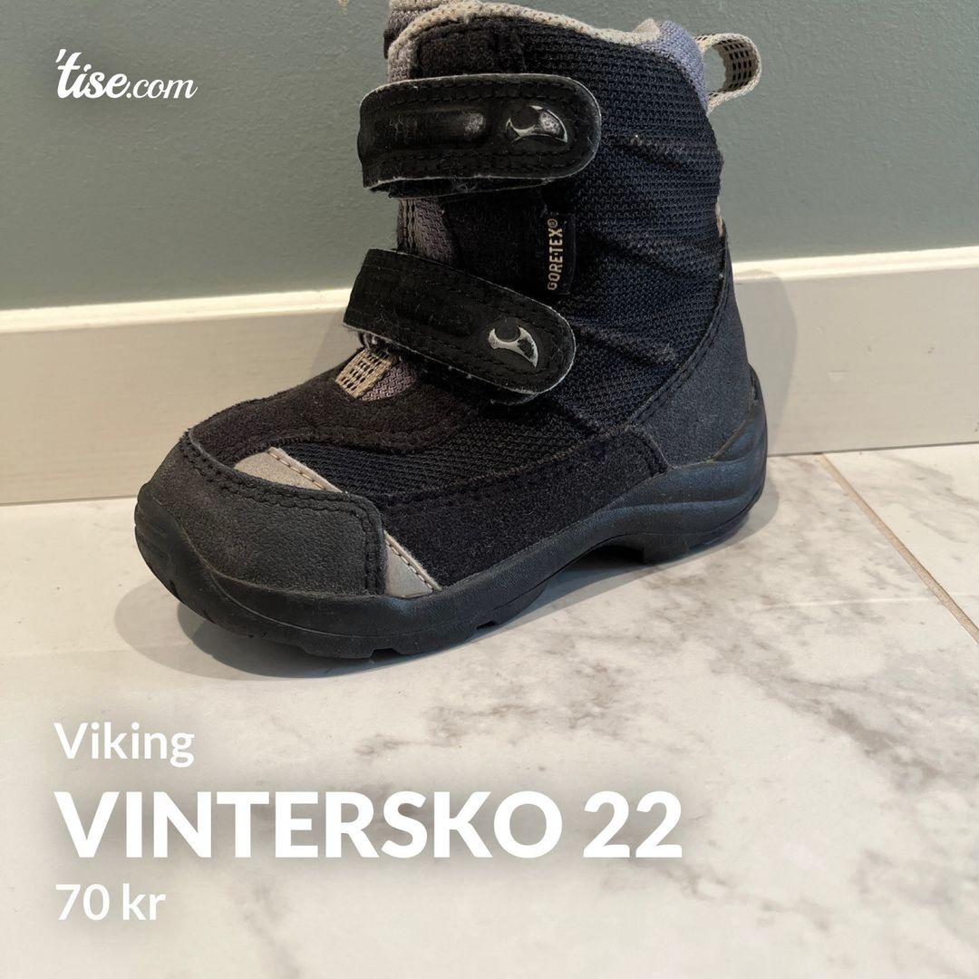 Vintersko 22