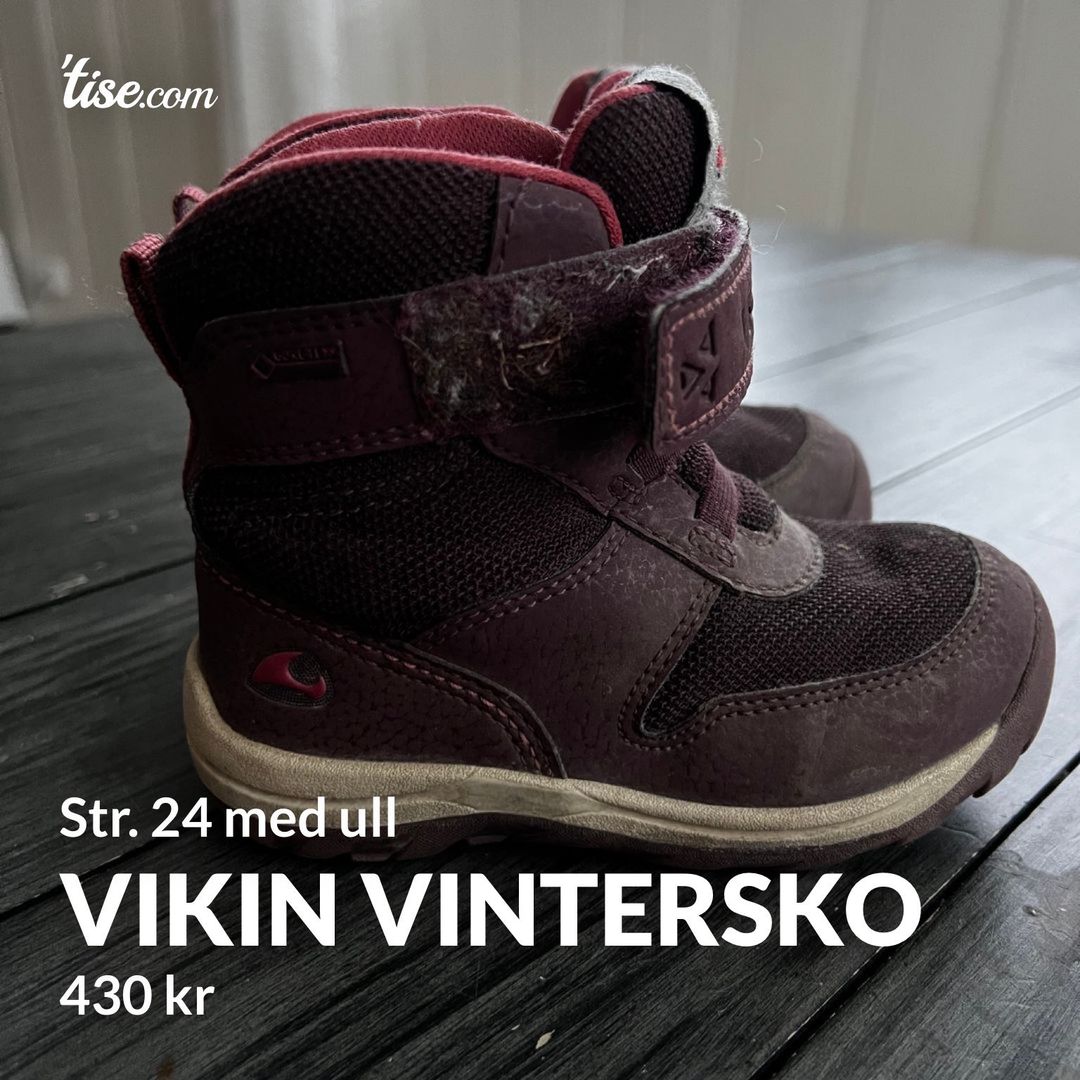 Vikin vintersko