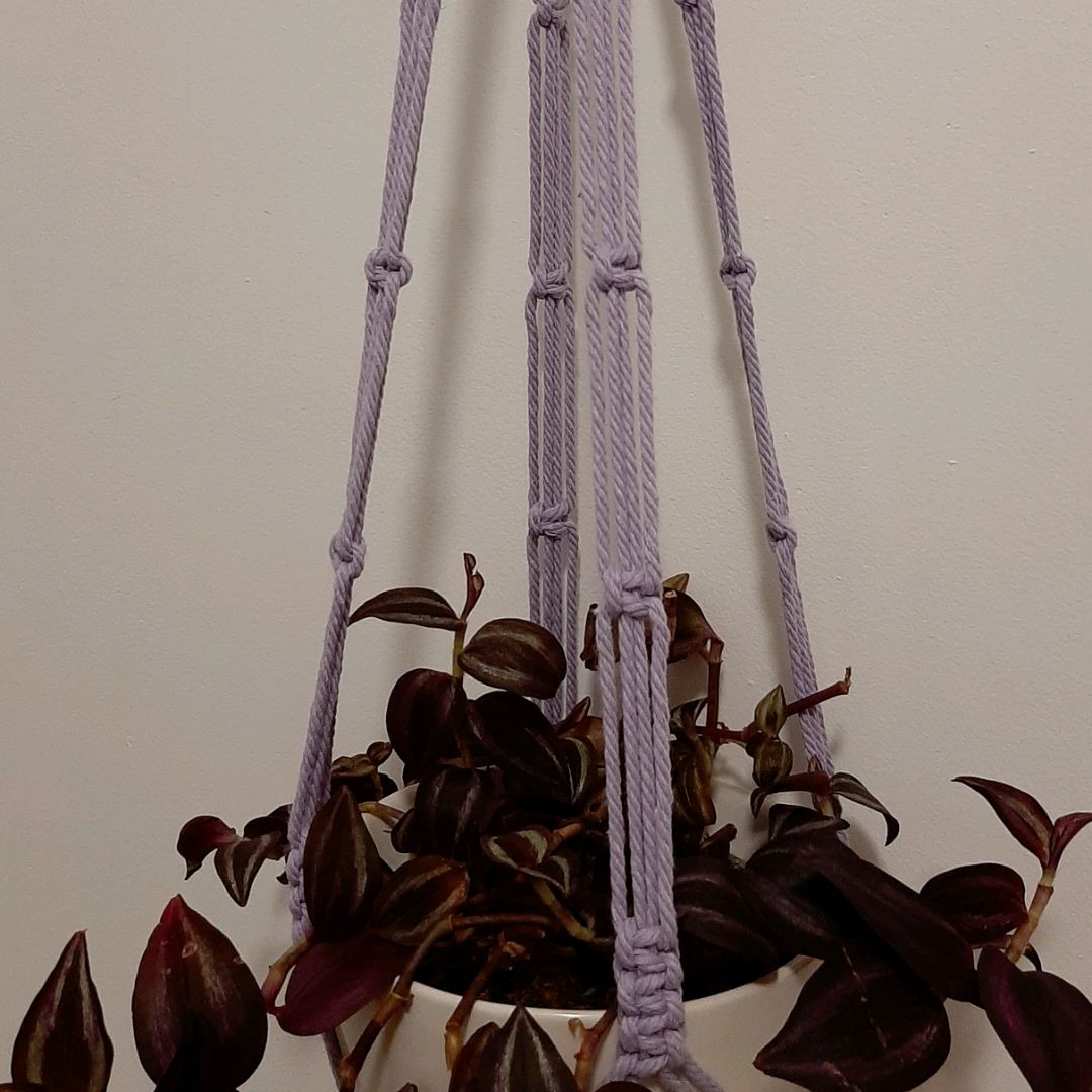 Macrame Plant Hanger