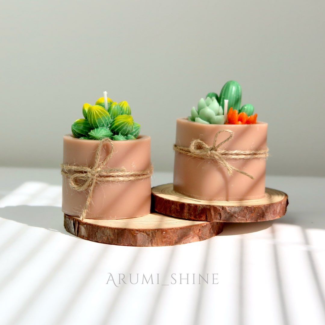 Cactus candles