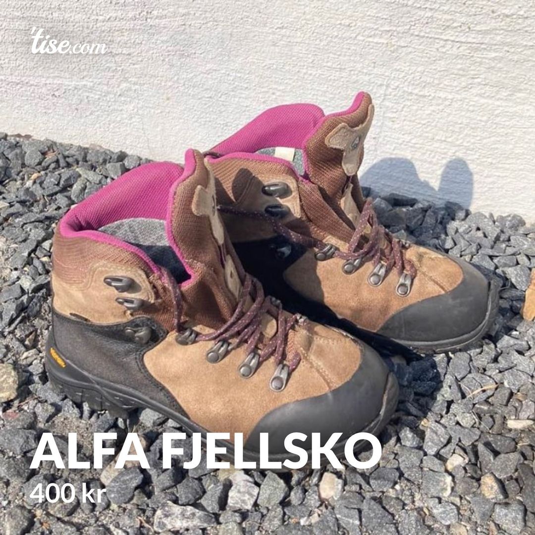 Alfa fjellsko