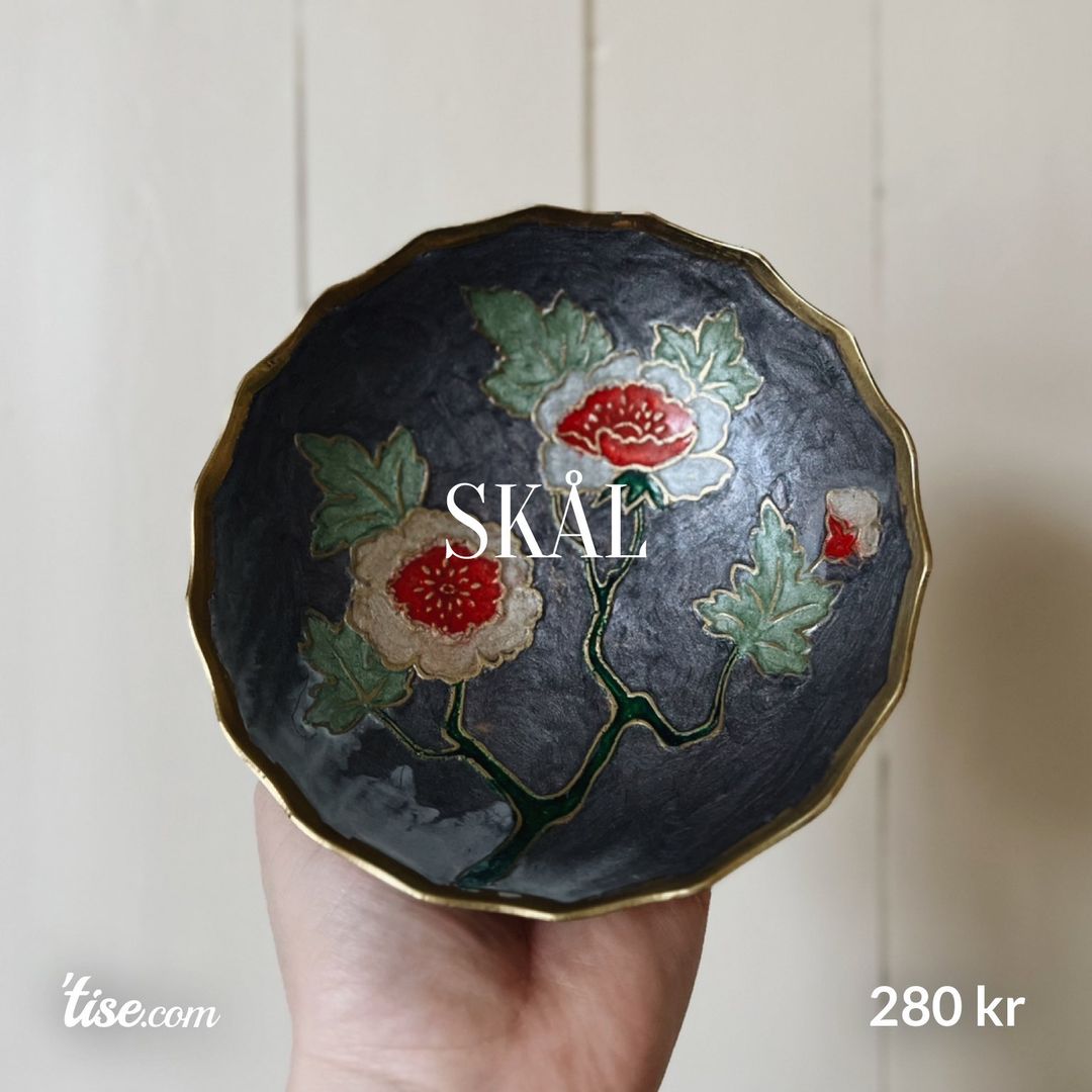 Skål