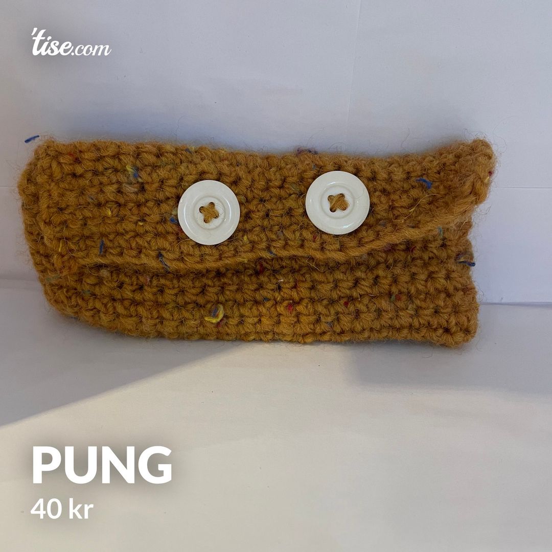 Pung