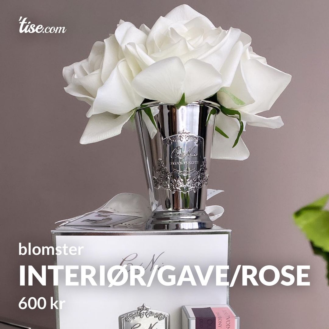 Interiør/gave/rose