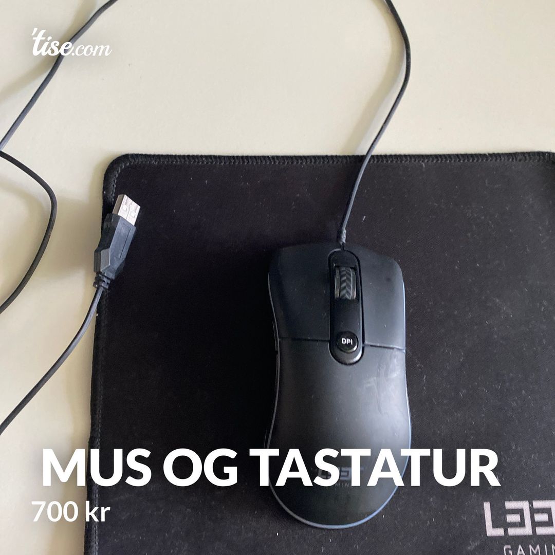 mus og tastatur