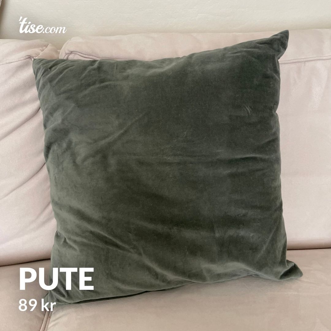 Pute