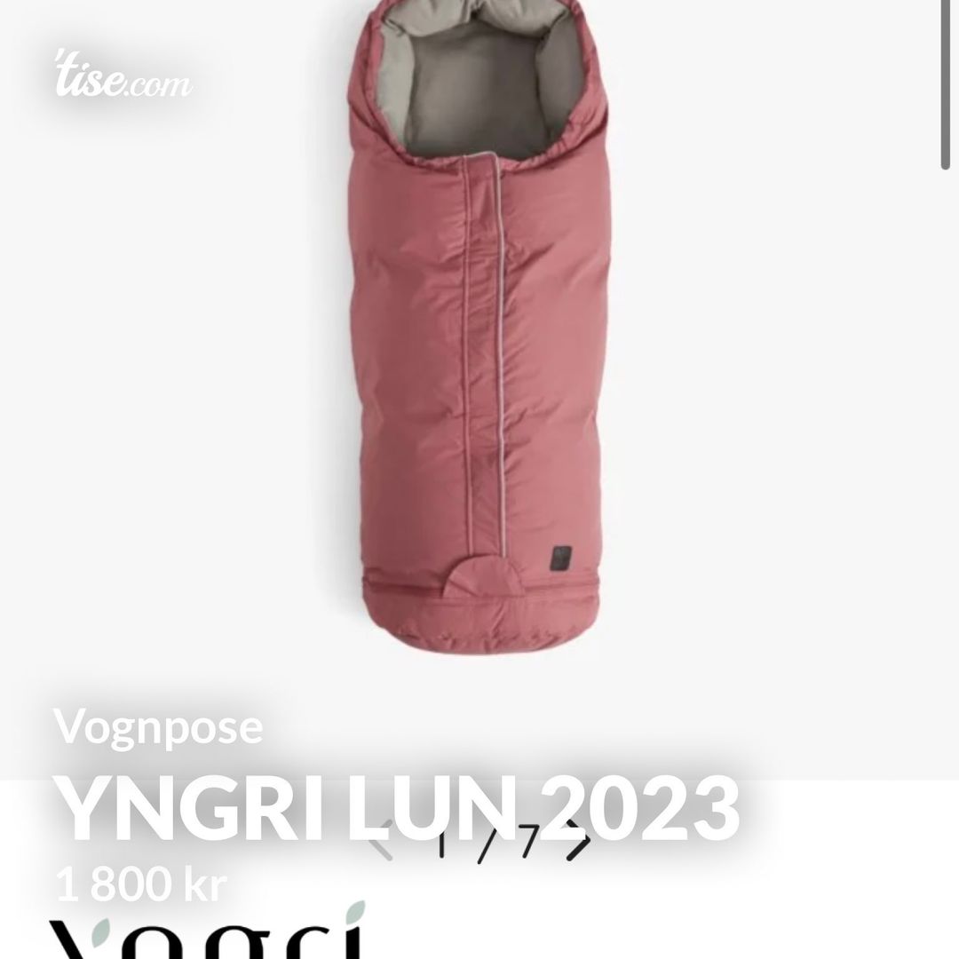 Yngri Lun 2023